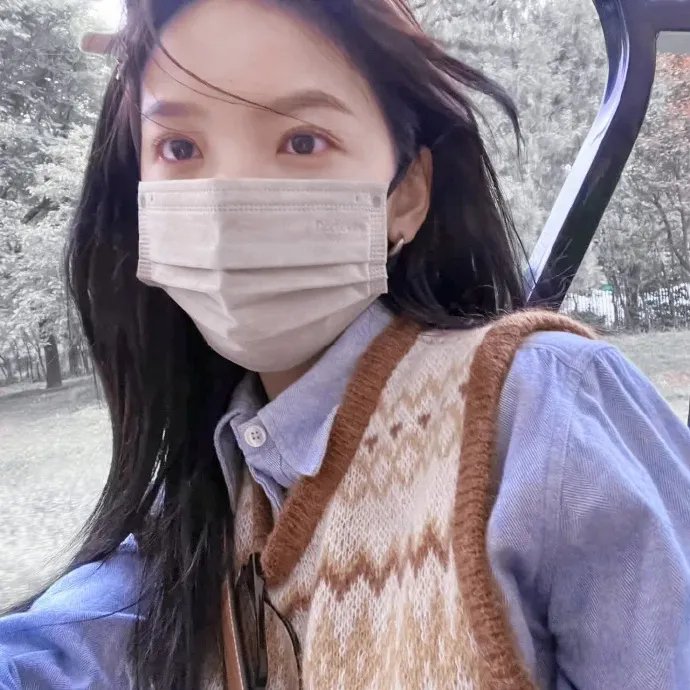 狗狗监护权